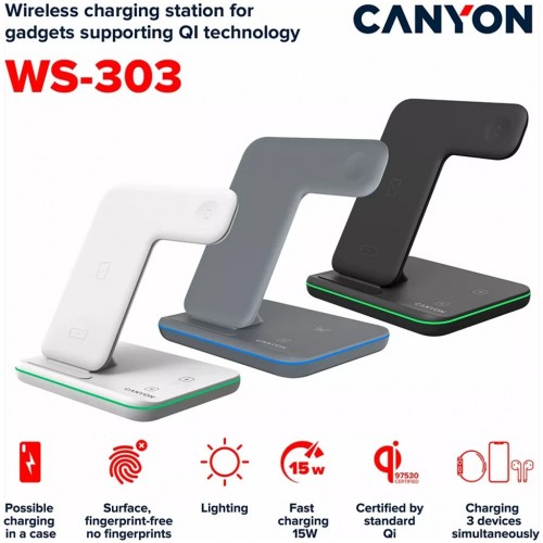 Canyon CNS-WCS303DG