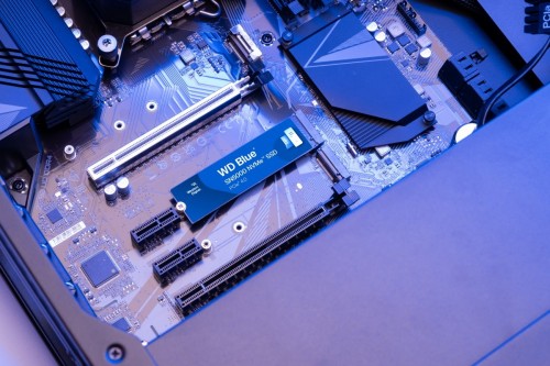 WD Blue SN5000