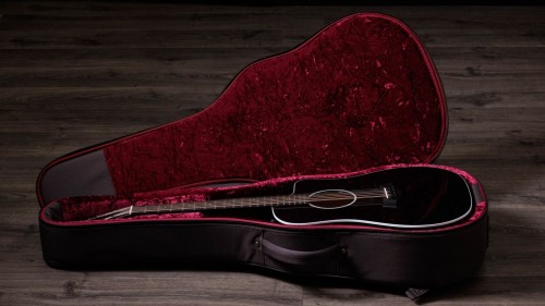 Taylor 250ce Plus