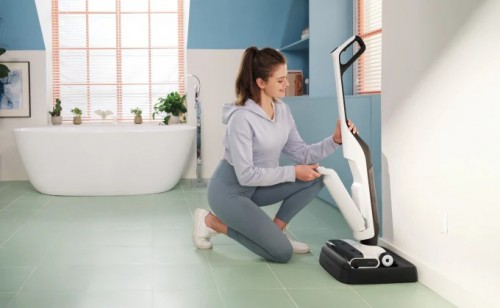 Roborock Flexi Lite