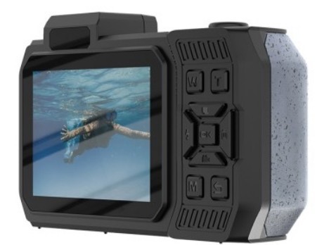 Agfa WP9500