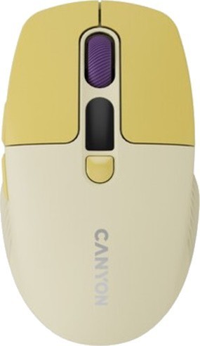 Canyon CNS-CMSW26