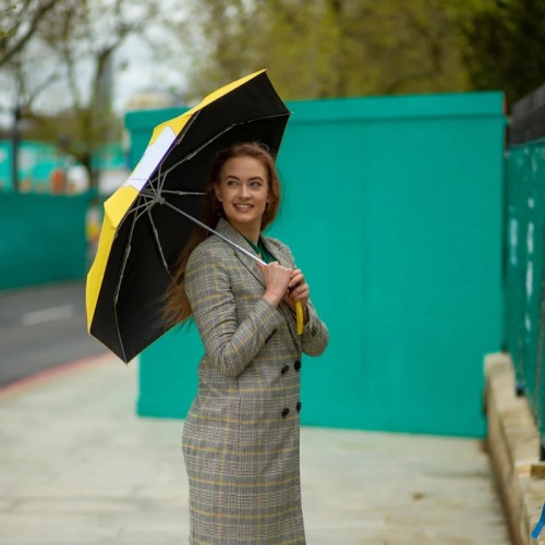 Fulton National Gallery Minilite-2 UV Sunflowers
