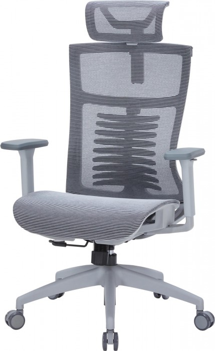 OfficePro Balance OC620