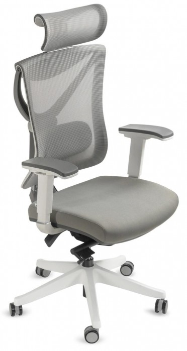 ADAPWORK S1 Senior ErgoChair