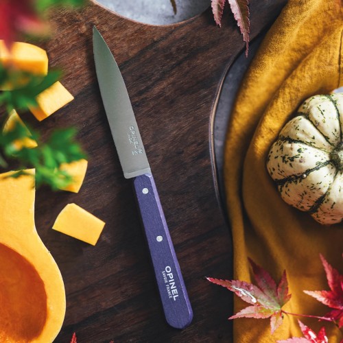 OPINEL 112 Les Essentiels