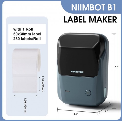 Niimbot B1