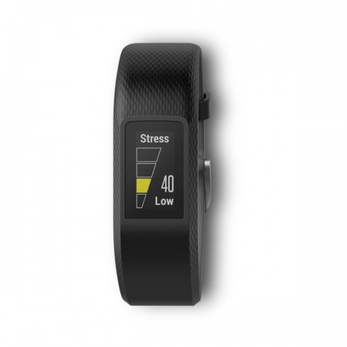 Garmin Vívosport
