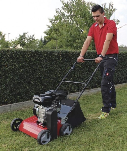 Einhell GC-SC 2240 P