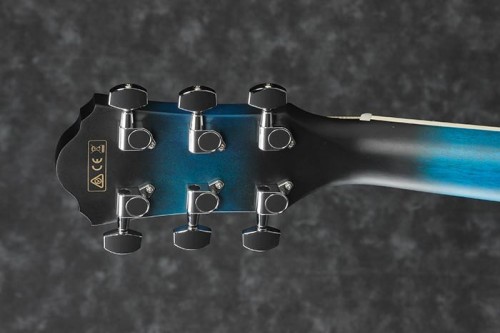 Ibanez AEG7