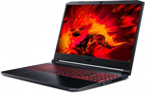 Acer Nitro 5 AN515-55