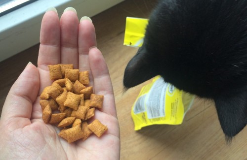 Dreamies Treats with Tasty Cheese 0.06 kg