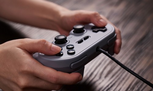 8BitDo Pro 2 Wired Controller for Switch