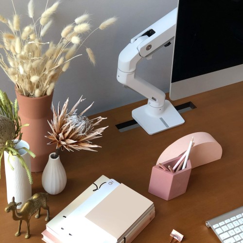 Ergotron HX Desk Monitor Arm