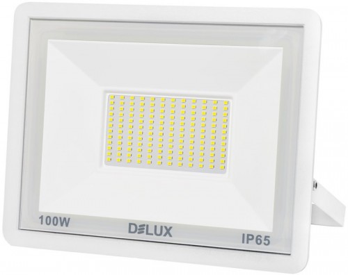 Delux FMI 11 100W