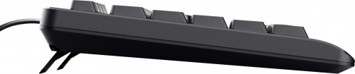 Trust Wired Keyboard