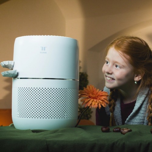 Tesla Smart Air Purifier Mini