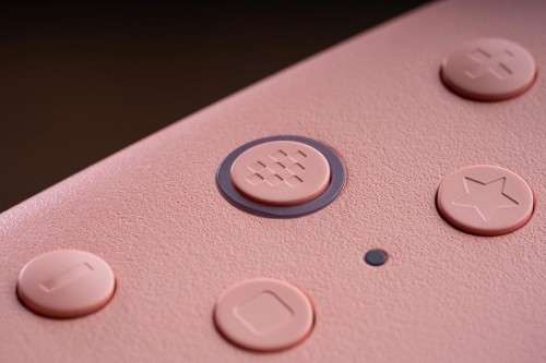 8BitDo Ultimate 2C Wired Controller