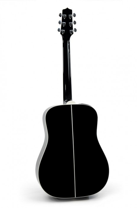Takamine FT341 Limited edition