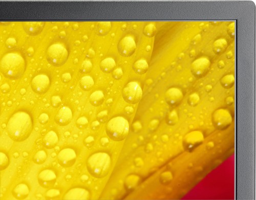 NEC MultiSync M431-2