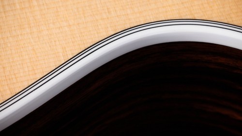 Taylor Legacy 815e