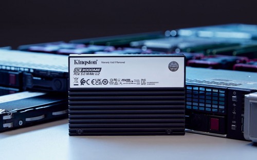 Kingston DC3000ME