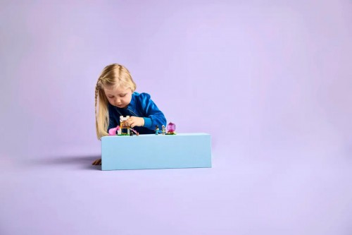 Lego Puppy Playground 42665