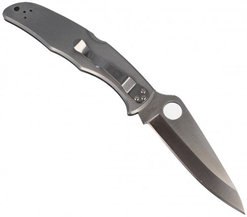 Spyderco Endura 4 SS