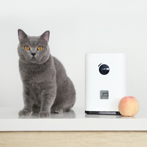 Pawbby Smart Snack Machine