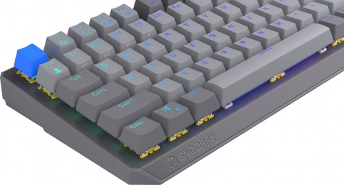 Endorfy Thock V2 75% Wireless