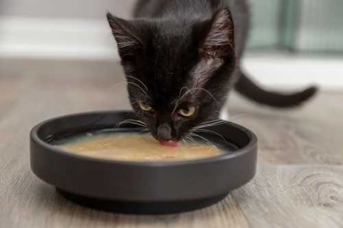 Trixie Kittis Salmon Soup 80 g