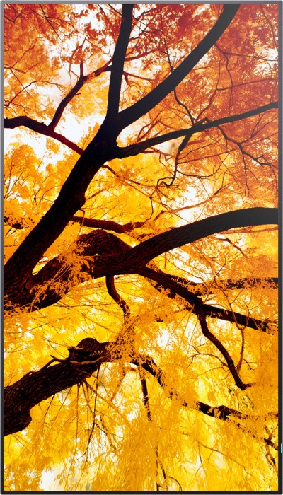 Sharp MultiSync M502