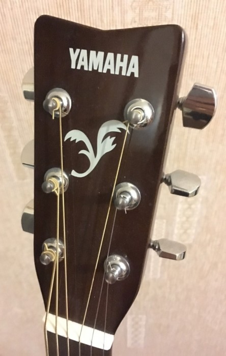 Yamaha F310