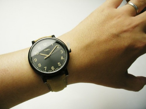 Timex T2n677