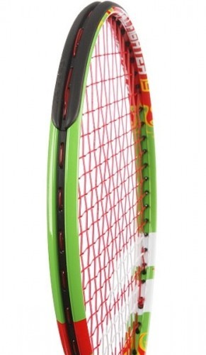 Babolat Ballfighter 19