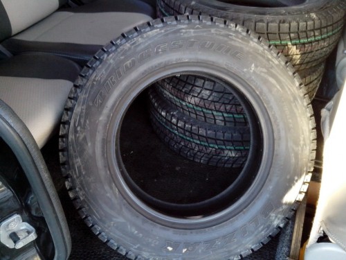 Bridgestone Blizzak DM-V1
