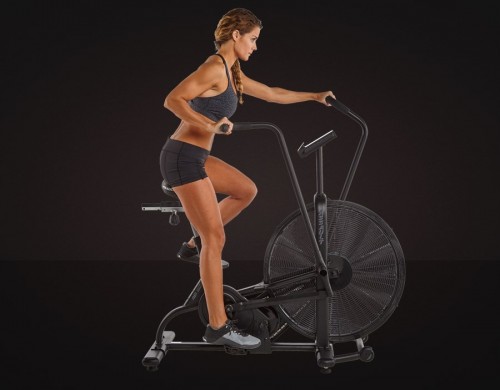 Assault Fitness AirBike