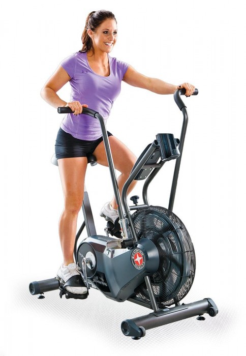 Schwinn Airdyne AD6