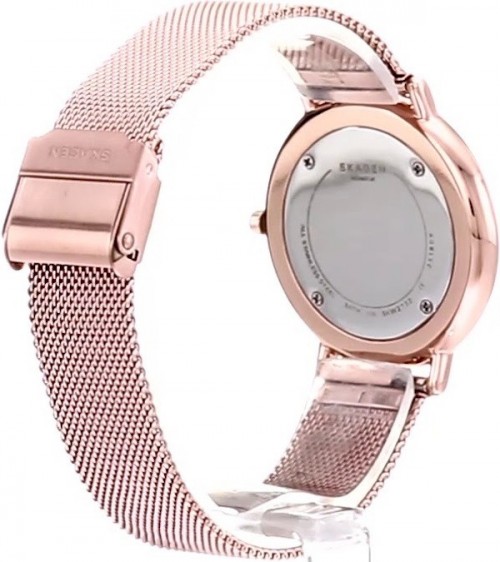 Skagen SKW2732