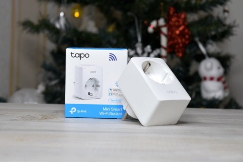 TP-LINK Tapo P100