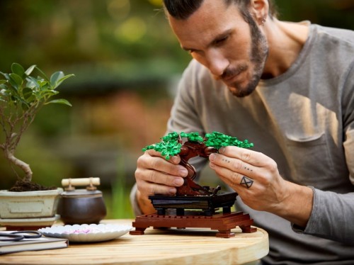 Lego Bonsai Tree 10281