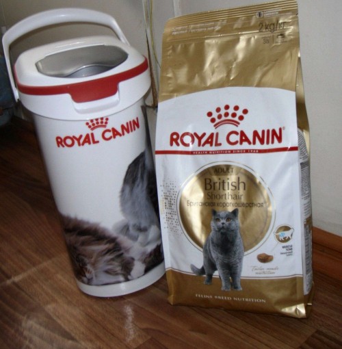 Royal Canin British Shorthair 34 2 kg