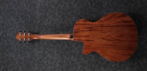 Ibanez AEG200