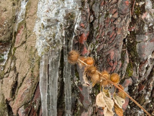 Canon PowerShot SX740 HS