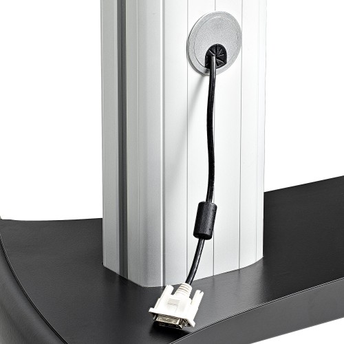 Startech.com STNDMTVDUO