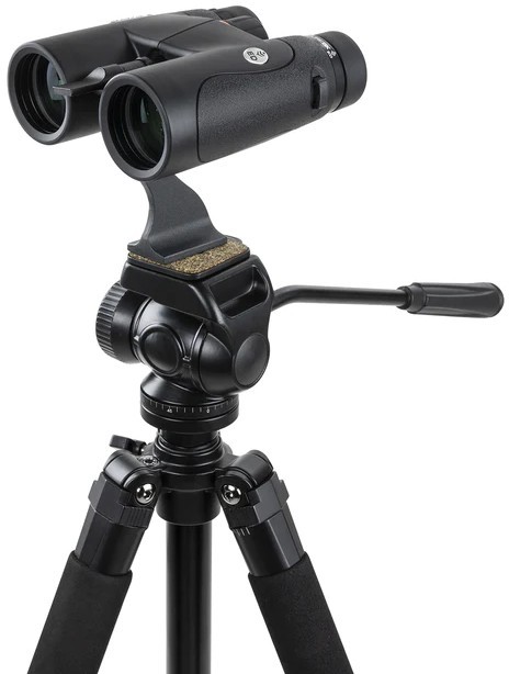 Celestron Nature DX ED 8x42