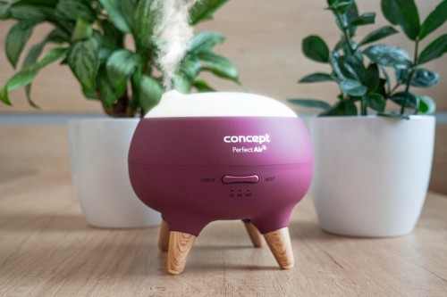 Concept Perfect Air Berry DF1011