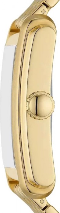 FOSSIL Carraway FS6009