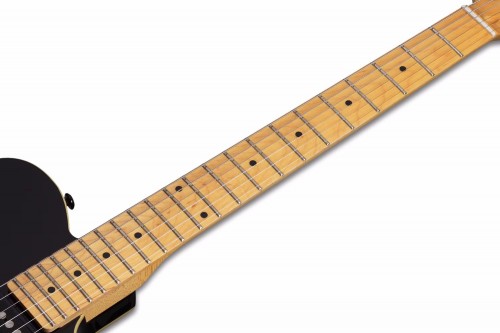 Schecter PT