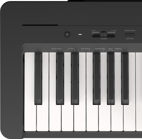 Yamaha P-143